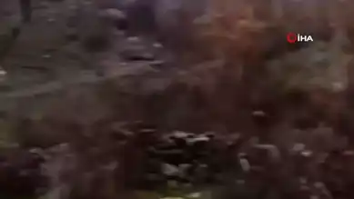 Elazığlı Besicinin İnekleriyle Dostluğu Gündemde