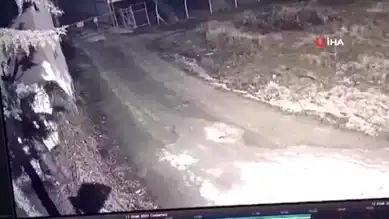 Elazığ'da Aç Kurtlar Köye İndi!