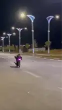 Motosiklet Sürücüsünün Tehlikeli Şovları
