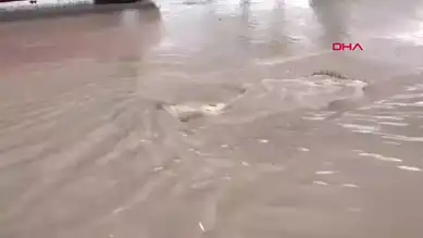 Doğu Anadolu Bölgesinde Şiddetli Yağış
