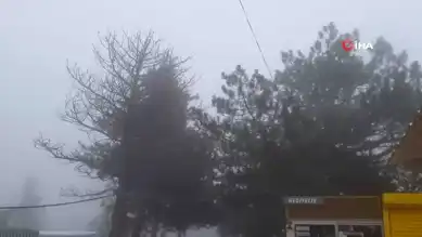Elazığ'da Yoğun Sis: Harput Görünmez Oldu
