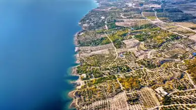 Elazığ'da Kayısı Bahçeleri Sonbahar Hazırlığına Başladı