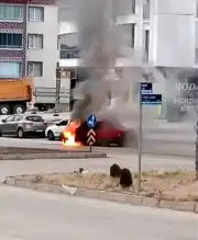 Elazığ'da Tofaş Yanarak Küle Döndü