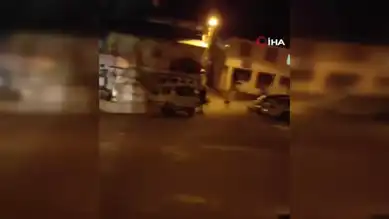 Sokak Köpekleri Vatandaşları Tedirgin Ediyor