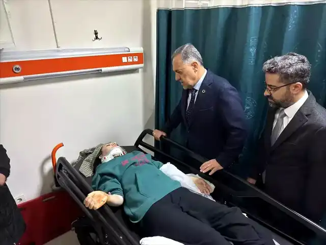 Bingöl'de Acı Kaza: Genç Doktor ve Öğretmen Hayatını Kaybetti