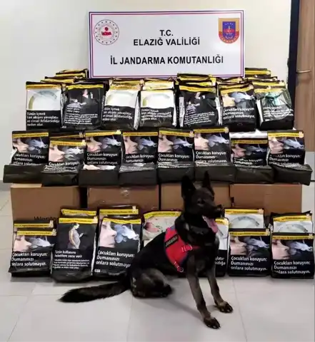 Elazığ'da 85 Kilo Kaçak Tütün Ele Geçirildi