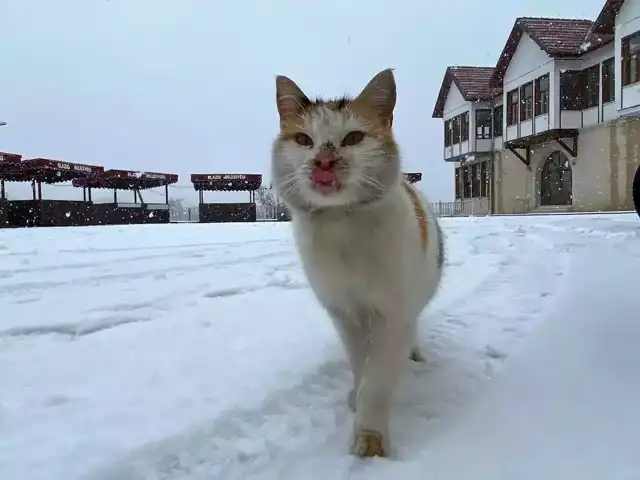 Elazığ Harput'ta Karın Büyüsü