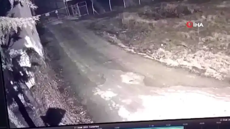 Elazığ'da Aç Kurtlar Köye İndi!