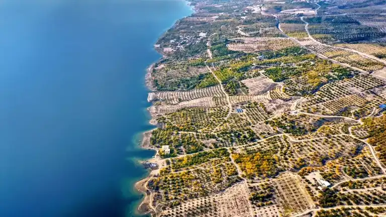 Elazığ'da Kayısı Bahçeleri Sonbahar Hazırlığına Başladı