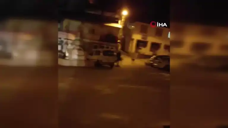 Sokak Köpekleri Vatandaşları Tedirgin Ediyor